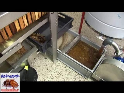 جمع اوری و مکش عسلی که توسط دستگاه از سرپوش سلولهای عسل بدست اومده و انتقال ان به مخزن ذخیره عسل
