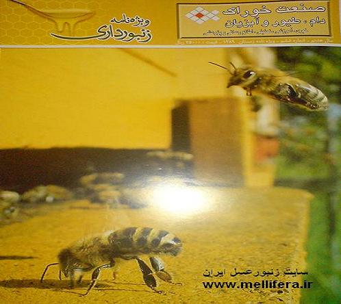اشتراك فصلنامه تخصصی زنبورداری